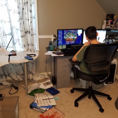 Homeschooling Ups & Downs
