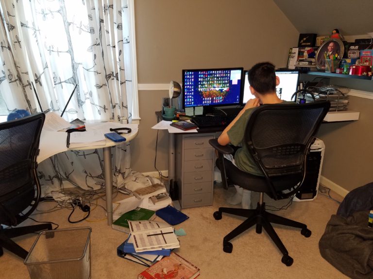 Homeschooling Ups & Downs