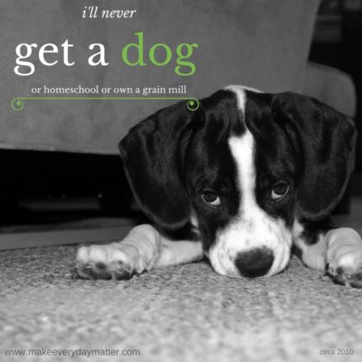 I’ll never get a dog…