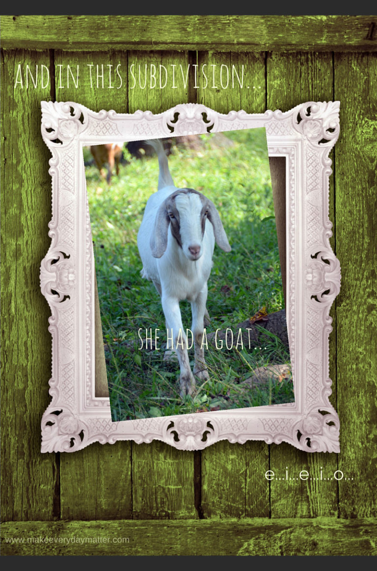 And in this subdivision she had a goat….e…i…e…i…o