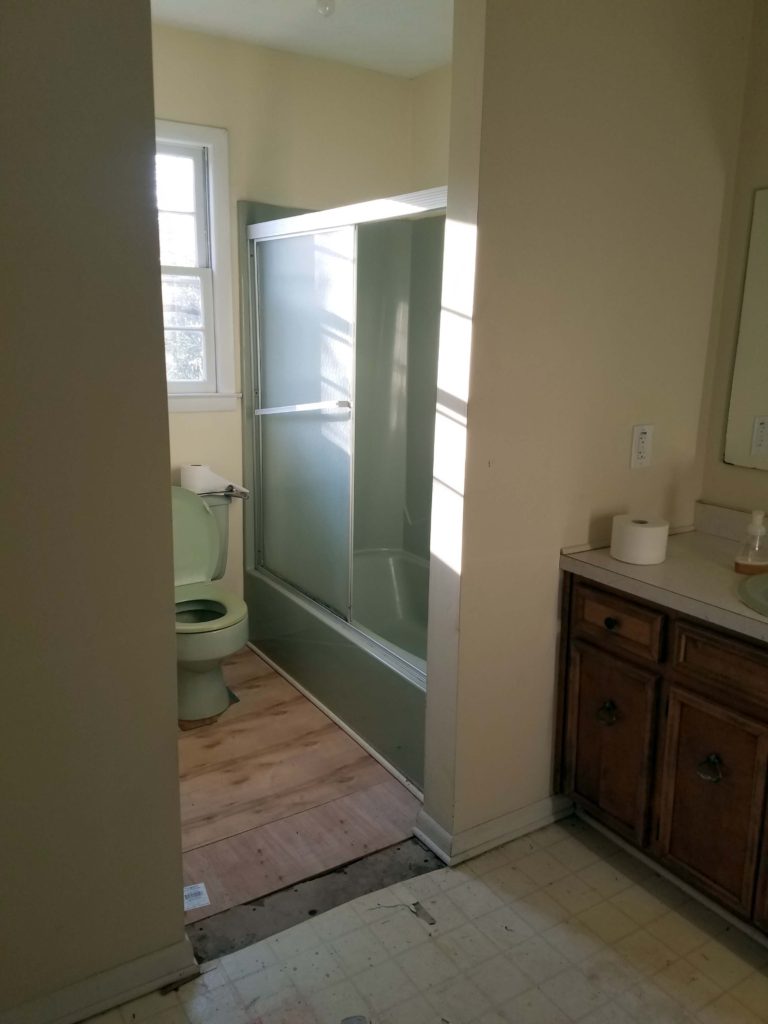 Flushing the 1970 Bathroom Away