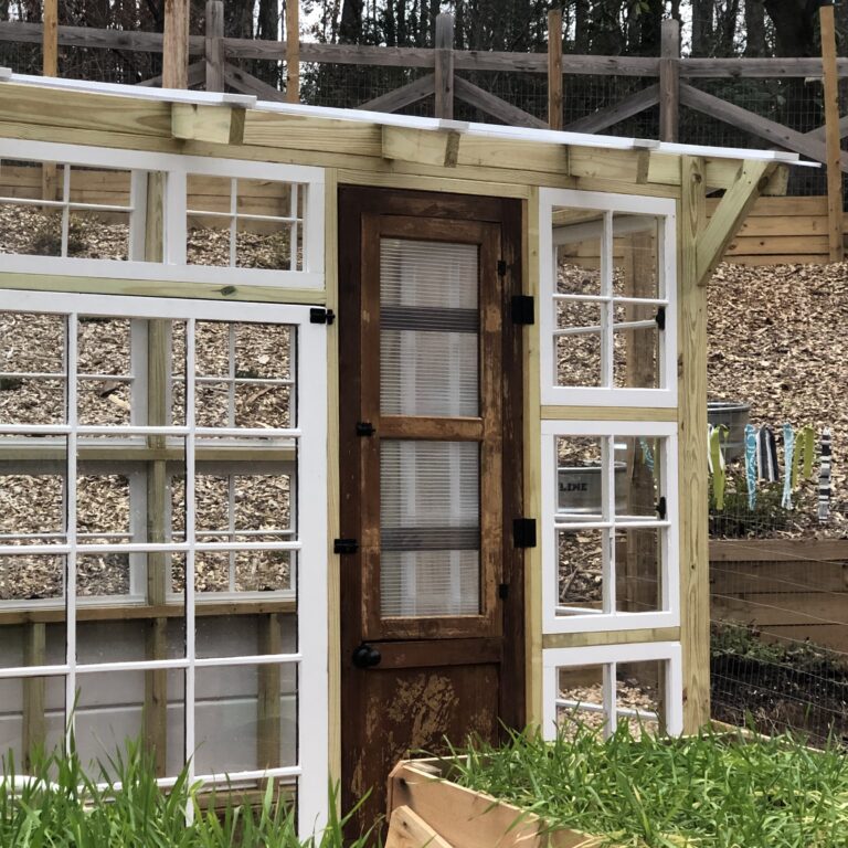 A Greenhouse for a Black Thumbed Gal